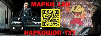 apvp Краснодар