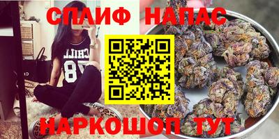 apvp Краснодар