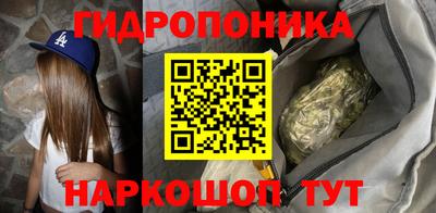 крисы Краснознаменск