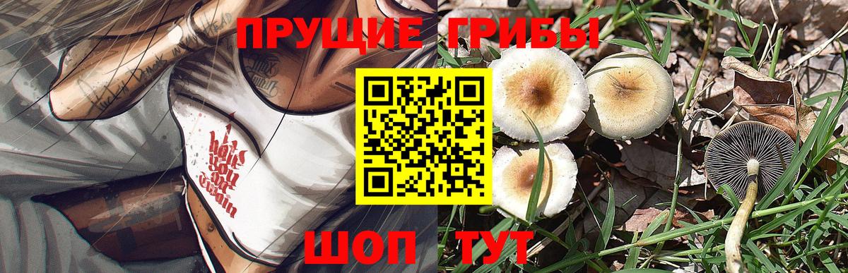 Псилоцибиновые грибы прущие грибы Кисловодск