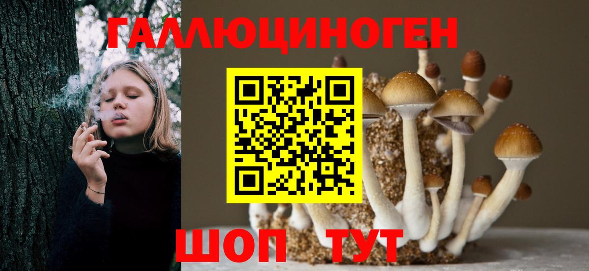 что такое   Галлюциногенные грибы Cubensis  Вход с VPN  Кисловодск 